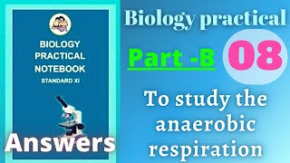 To study anaerobic respiration biology practical class 11 experiment 8 part b answers [upl. by Nic540]