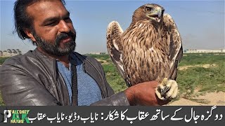 How to Trap Bonellis Eagle with Dogaza Trap  Rare Video of Eagle Trapping  Amazing Moments [upl. by Tada896]