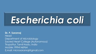 Escherichia coli [upl. by Yasnil]