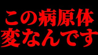 日本で爆増中の変な病原体 [upl. by Anaoy]