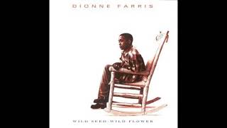 Dionne Farris Stop To Think [upl. by Jory]