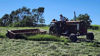 Farmall 656 Mowing 1st Cutting Hay With an Old Hesston Mower [upl. by Ardell]