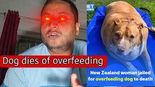 Shocking  Dog in Newzealand dies because of overfeeding  owner arrested and jailed [upl. by Broeder]