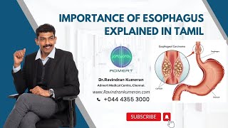 Importance of Esophagus Explained in Tamil DrRavindran Kumeran  Admert Medical Centre [upl. by Evelin]