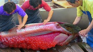 This Fish Is Banned in US Heres WHY [upl. by Etat]