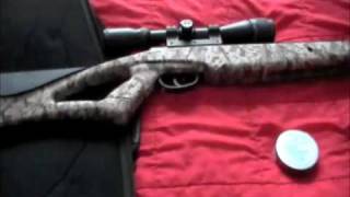 Review Of the RemingtonCrosman NPSS 22 [upl. by Olgnaed]