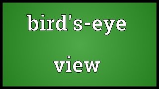 Birdseye view Meaning [upl. by Lucic]