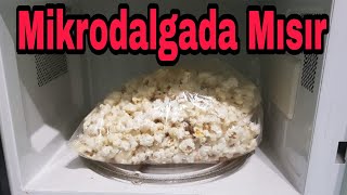 MÄ°KRODALGA FIRINDA PRATÄ°K MISIR PATLATMA ğŸ’¯Ã‡ITIR MISIR NASIL PATLATILIR ğŸ‘ŒMÄ°KRODALGADA NELER YAPILIR [upl. by Trask]