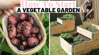 RAISED VEGETABLE GARDENING FOR BEGINNERS UK  Ep3 [upl. by Tera]