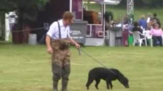 chris green  wildfowling [upl. by Abram]