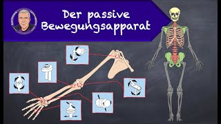 Der passive Bewegungsapparat [upl. by Hedi]