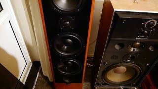 The incredible Canton ergo RCL Undisputed the cheapest high end speaker ever built [upl. by Ilehs]