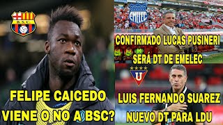 FELIPE CAICEDO VIENE O NO A BSCLUCAS PUSINERI SERÁ DT DE EMELECLUIS FERNANDO SUAREZ DT PARA LDU [upl. by Iveksarap]