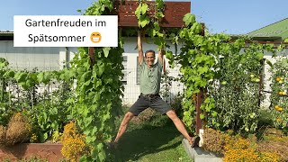 Gemüseernte ohne Ende im Spätsommer👨‍🌾 Verarbeitungstipps für Klassiker und Raritäten [upl. by Peckham]