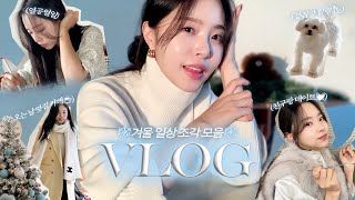 ❄️vlog 추워도 괜찮아 청춘이야 솔이 연말 브이로그 I 아이패드 샀어요 할리스 바닐라딜라이트 입문 연말 콘서트 새해다짐 [upl. by Hayyikaz]