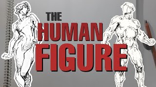 How to Draw the HUMAN FIGURE  Bridgmans Anatomy Drawing for All [upl. by Sualokcin]