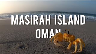 Must see in Oman  Masirah Island 🇴🇲 [upl. by Ahsinid]