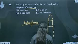 The body of hemichordata is cylindrical and is composed of an anterior [upl. by Naleek]