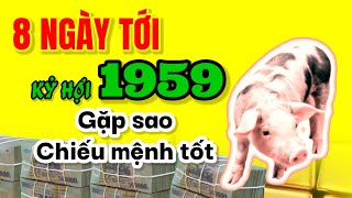 Gặp sao chiếu mệnh tốt 8 ngày tới Kỷ Hợi 1959 Mang lộc về nhà tiền tài tăng rực rỡ [upl. by Raimund]