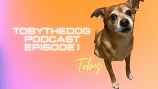 Toby Podcast episode 1 watch till the very end 😄 [upl. by Jodoin65]