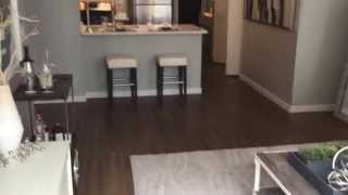 Atwater Apartments  1BD1BA  846 sq ft  Streeterville [upl. by Badr84]