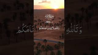 Surah Anbiya verse 57 Quran recitations dailyverse [upl. by Eidur]