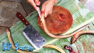 Être languille grillée à laptitude du style cambodgien [upl. by Leinod]