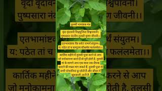 Tulsi Mantra kartikmaah kartikmahatmya [upl. by Eyaj]