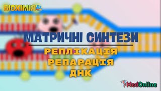 Матричні Синтези  Реплікація та Репарація ДНК [upl. by Geoffrey472]