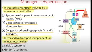 Monogenic Hypertension [upl. by Asil951]