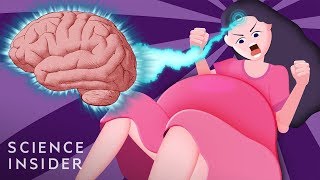 How Giving Birth Changes Your Brain [upl. by Remmer515]