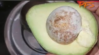 Avocado sandwich recipe in tamilsandwich recipeHealthy sandwich [upl. by Anais]