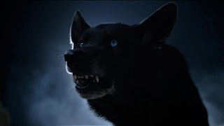 Teen Wolf  Derek Hale Black Wolf Evolving 4x12 [upl. by Nnylsia]