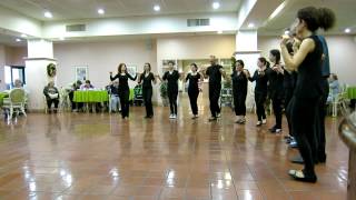 Tamzara Armenian folk dance by Gagik Ginosyan students [upl. by Marciano]