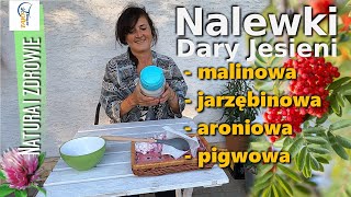 Nalewki  Zrobisz je łatwo Malinowa Pigwowa Aroniowa Jarzębinowa Bombowe  dla Zdrowia na Zimę [upl. by Perce]