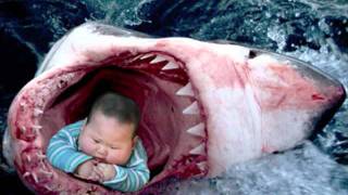 MUST WATCH  The Megalodon Shark Eats a Child [upl. by Bez]