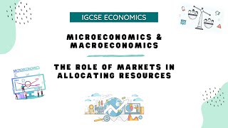 Microeconomics amp Macroeconomics  Markets in Allocating Resources  IGCSE Economics  Year 10 amp 11 [upl. by Francisco162]