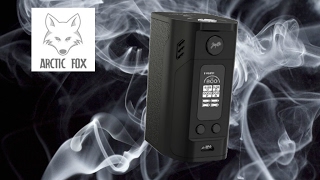 WISMEC Reuleaux RX300 review amp updated video of custom firmware NFE Team amp ArcticFox [upl. by Ynnor]