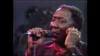 Muddy Waters  The Living Legends of Blues [upl. by Veradi877]