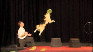 Mutts Gone Nuts in Canine Cabaret  CMI Entertainment [upl. by Kin]