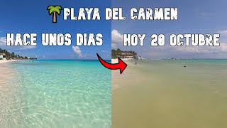 PLAYA DEL CARMEN🔴VAMOS A LAS PLAYAS🌊VIDEO MAS RECIENTE🌴SARGAZO 2023 [upl. by Nnylg]