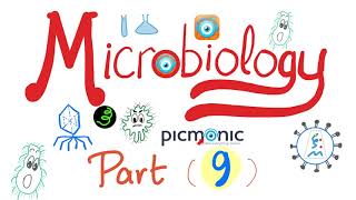 Microbiology Gram   Campylobacter jejuni Vibrio cholera Ecoli Klebsiella  Picmonic Part 9 [upl. by Hedi]