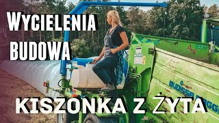 Wycielenia Budowa Kiszonka z Żyta [upl. by Eivets]