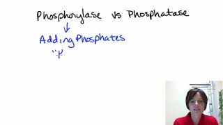 Phosphorylase vs Phosphatase [upl. by Enerol]