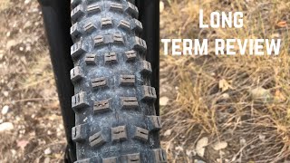 Schwalbe Hans Dampf Review [upl. by Areic]