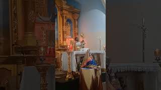 O Sacrament most holy  Adoration Holy friday  02082024 robinpereira727 W2WTVMSFS [upl. by Fiden]