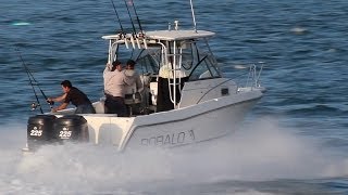 Robalo 2440 Walkaround [upl. by Yadahs]