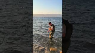 Levrek için hazırız fish balık fishing [upl. by Meece]