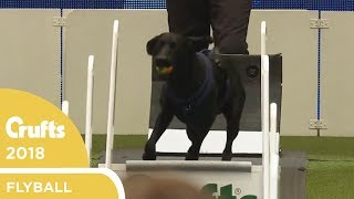 Flyball  Team QuarterFinals Part 1  Crufts 2018 [upl. by Reynolds662]