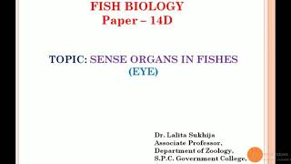 Sense Organs in Fishes Eye by Dr Lalita Sukhija [upl. by Priestley499]